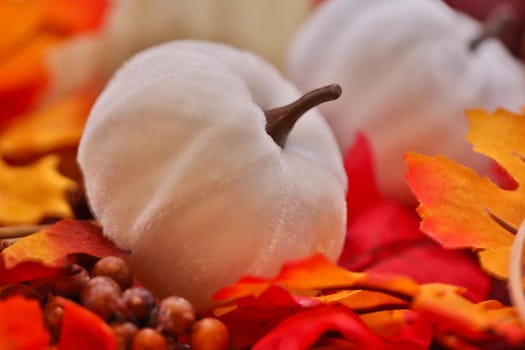 HDR photo of white Pumpkins on leafs. High quality photo