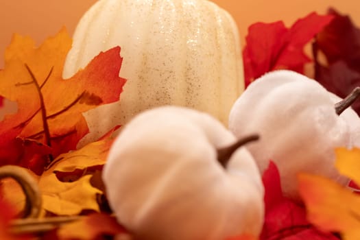 HDR photo of white Pumpkins on leafs. High quality photo