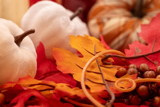 HDR photo of white Pumpkins on leafs. High quality photo