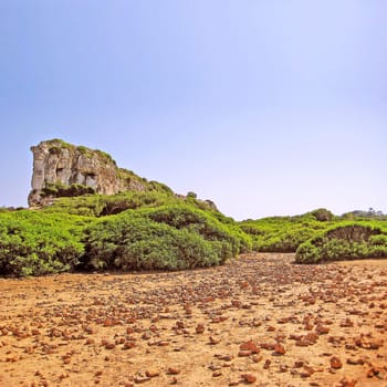 rock in the steppe with bushes and debris