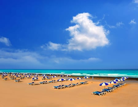 Adeje Arona Beach Troya Playa Las Americas in Tenerife South