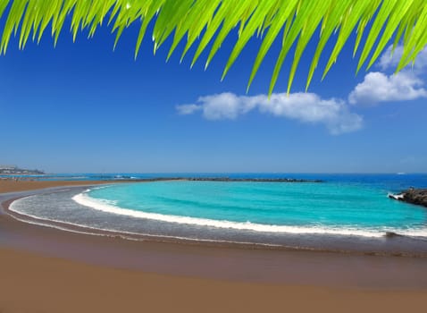 Adeje coast Las americas Beach in south Tenerife at Canary Islands