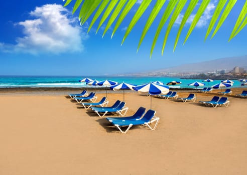 Adeje Arona Beach Troya Playa Las Americas in Tenerife South