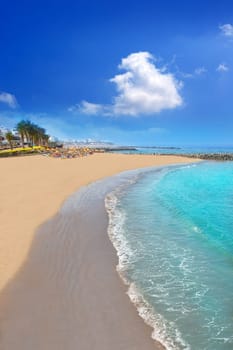 Adeje coast Las americas Beach in south Tenerife at Canary Islands