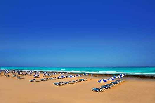 Adeje Arona Beach Troya Playa Las Americas in Tenerife South