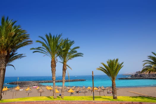 Adeje coast Las americas Beach in south Tenerife at Canary Islands