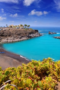 Beach Playa Paraiso costa Adeje in Tenerife at Canary Islands