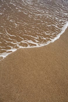 beach tropical shore with brown sand and clear water wave
