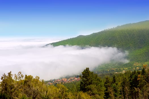 Orotava valley with sea of clouds in Tenerife mountains at Canary Islands