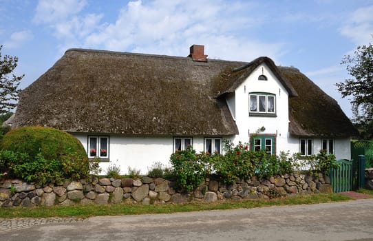 Thatched roof house