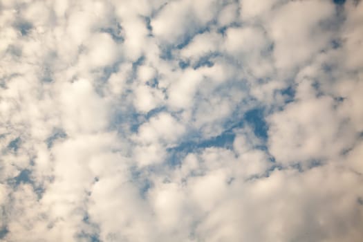 air, backdrop, background, beautiful, beauty, blue, bright, brightly, climate, cloud, cloudscape, color, cumulus, day, descriptive, environment, fluffy, freedom, heaven, high, idyllic, light, meteorology, nature, open, outdoors, ozone, pattern, perfectio