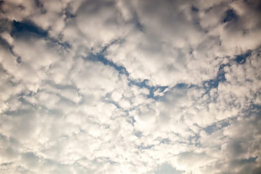 air, backdrop, background, beautiful, beauty, blue, bright, brightly, climate, cloud, cloudscape, color, cumulus, day, descriptive, environment, fluffy, freedom, heaven, high, idyllic, light, meteorology, nature, open, outdoors, ozone, pattern, perfectio