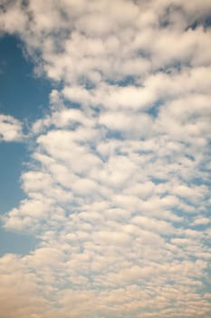 air, backdrop, background, beautiful, beauty, blue, bright, brightly, climate, cloud, cloudscape, color, cumulus, day, descriptive, environment, fluffy, freedom, heaven, high, idyllic, light, meteorology, nature, open, outdoors, ozone, pattern, perfectio