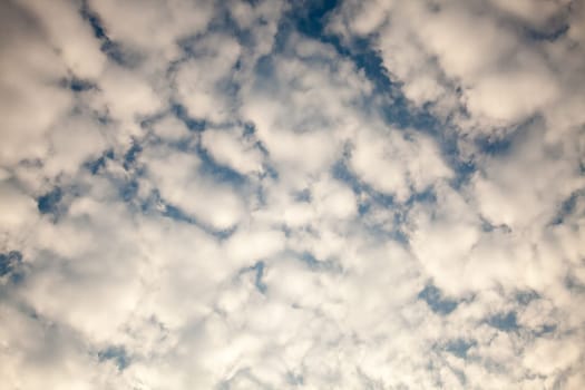 air, backdrop, background, beautiful, beauty, blue, bright, brightly, climate, cloud, cloudscape, color, cumulus, day, descriptive, environment, fluffy, freedom, heaven, high, idyllic, light, meteorology, nature, open, outdoors, ozone, pattern, perfectio