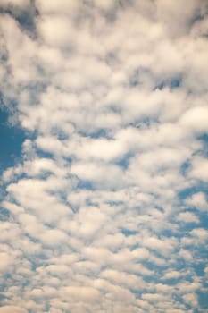 air, backdrop, background, beautiful, beauty, blue, bright, brightly, climate, cloud, cloudscape, color, cumulus, day, descriptive, environment, fluffy, freedom, heaven, high, idyllic, light, meteorology, nature, open, outdoors, ozone, pattern, perfectio