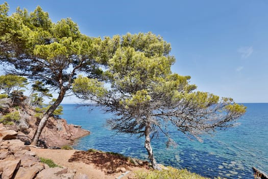 Sea