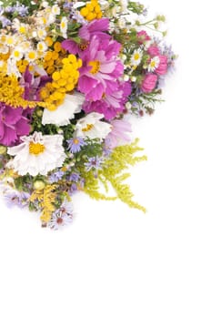 Bouquet of Wild Summer Flowers n White Background