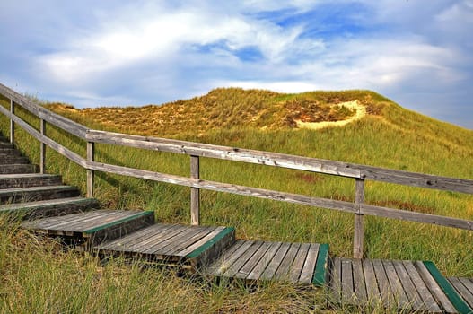 wood path