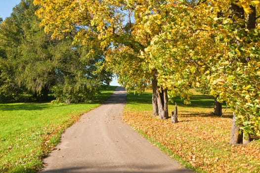Autumn landscape