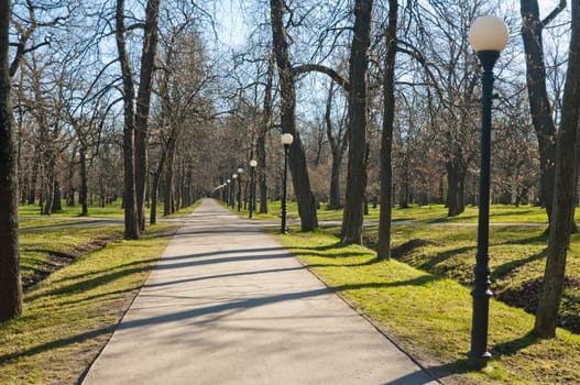 Avenue in park Kadriorg, in the early spring