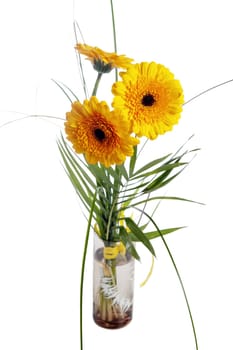 bouquet of three yellow Gerber, isolated on white