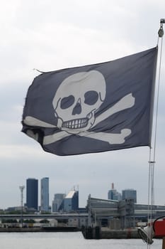 Piracy flag fluttering on a wind