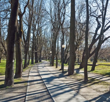 Avenue in park Kadriorg, in the early spring