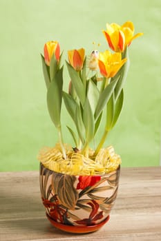 It is red yellow tulips, a close up