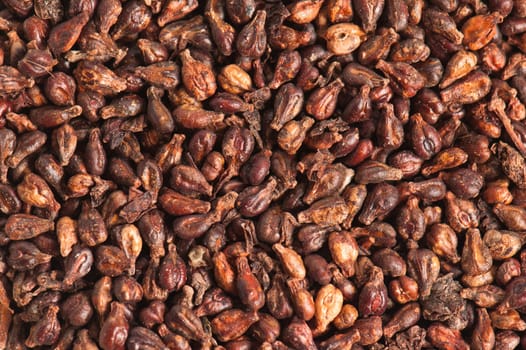 Close-up of grapes seeds
