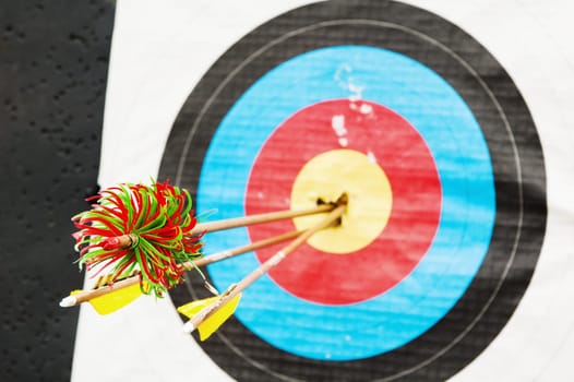 arrows in the center of the target