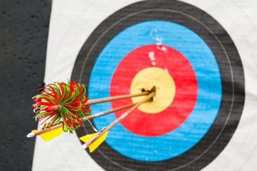 arrows in the center of the target