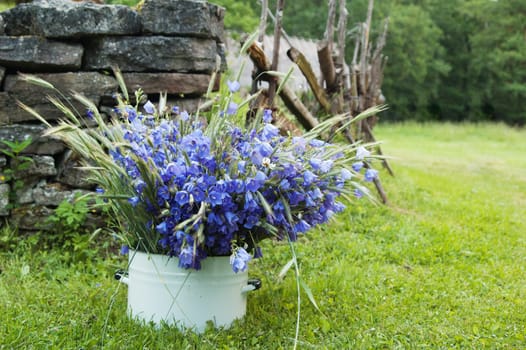 bouquet of field flowers amidst the rural landscape