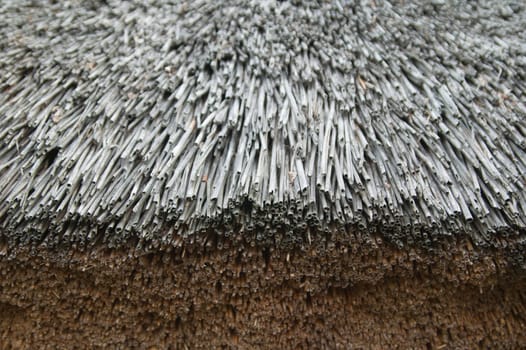 roof of reeds, close-up