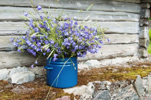 bouquet of field flowers amidst the rural landscape
