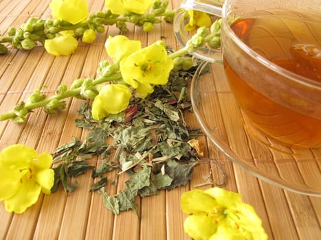 Tea with mullein