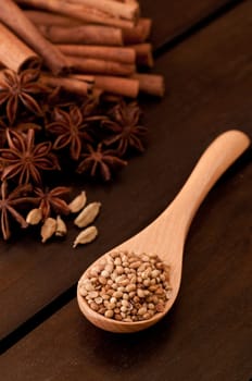 Beech wood spoon with coriander and spice background