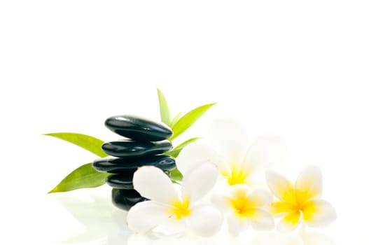 Black zen stone with white flowers with bamboo background