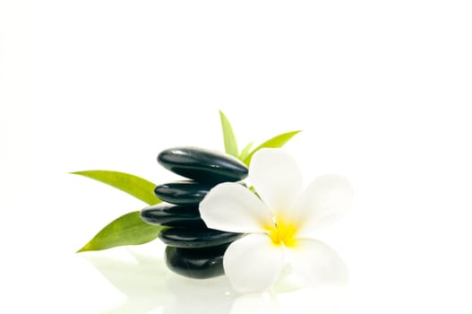 Black zen stone with white flower with bamboo background