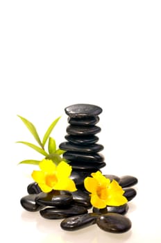 Stack of black zen stones with a bamboo plant and yellow flowers