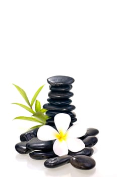 Stack of many black zen stone with white plumeria flower