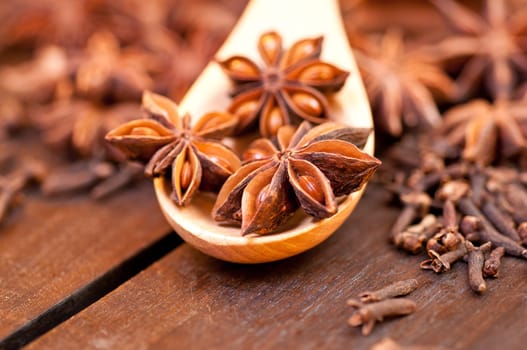 Star anise extreme close up with spices at background