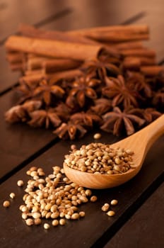 Coriander on a beech wood spoon with spices at the background