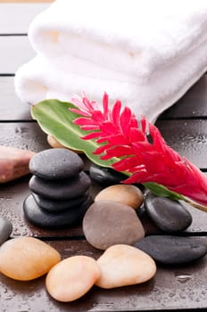 Zen wellness with red ginger flower on a wet wooden table