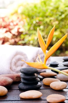 Spa concept with heliconia with wet zen stones