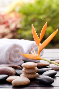 Spa concept with heliconia and zen stones outdoor