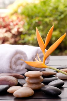 Spa concept with heliconia and zen stones outdoor