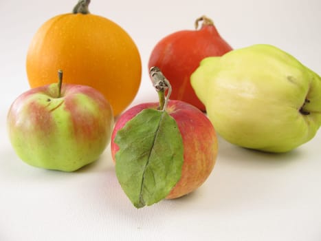 Quince,apple and pumpkin