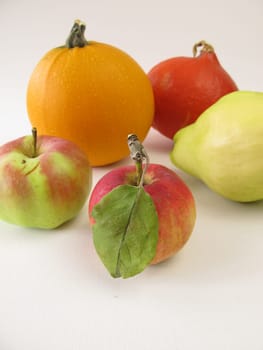Quince,apple and pumpkin