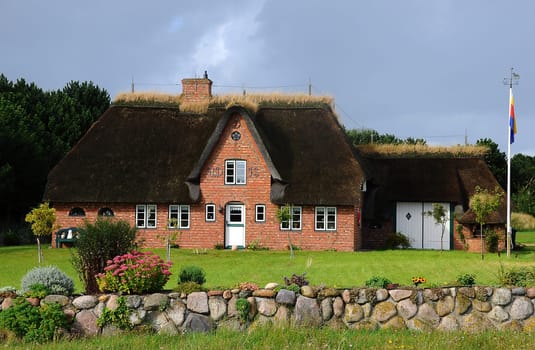 Thatched roof house