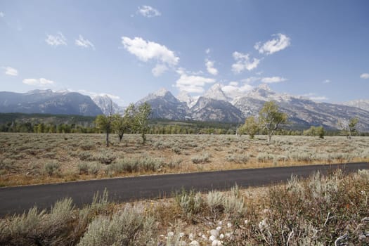 Yellowstone Grand Tetons